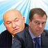 Медведь играет на Лужке